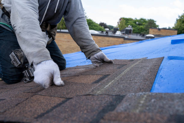 Best Storm Damage Roof Repair  in Shively, KY