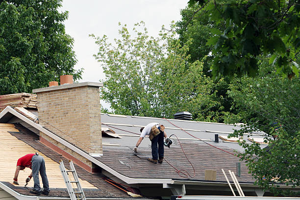 Best Flat Roof Repair Services  in Shively, KY
