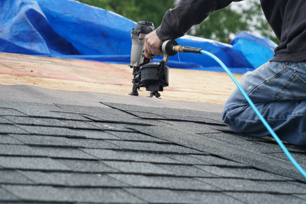 Best Residential Roof Replacement  in Shively, KY