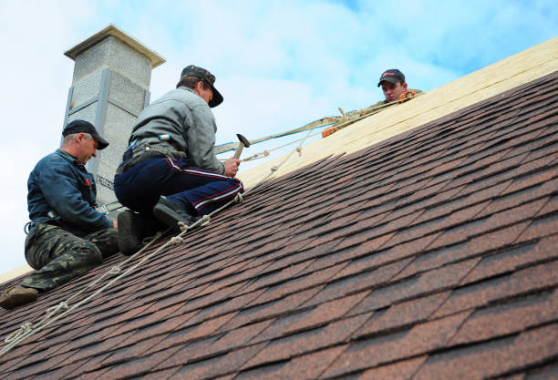 Best Local Roofing Companies  in Shively, KY